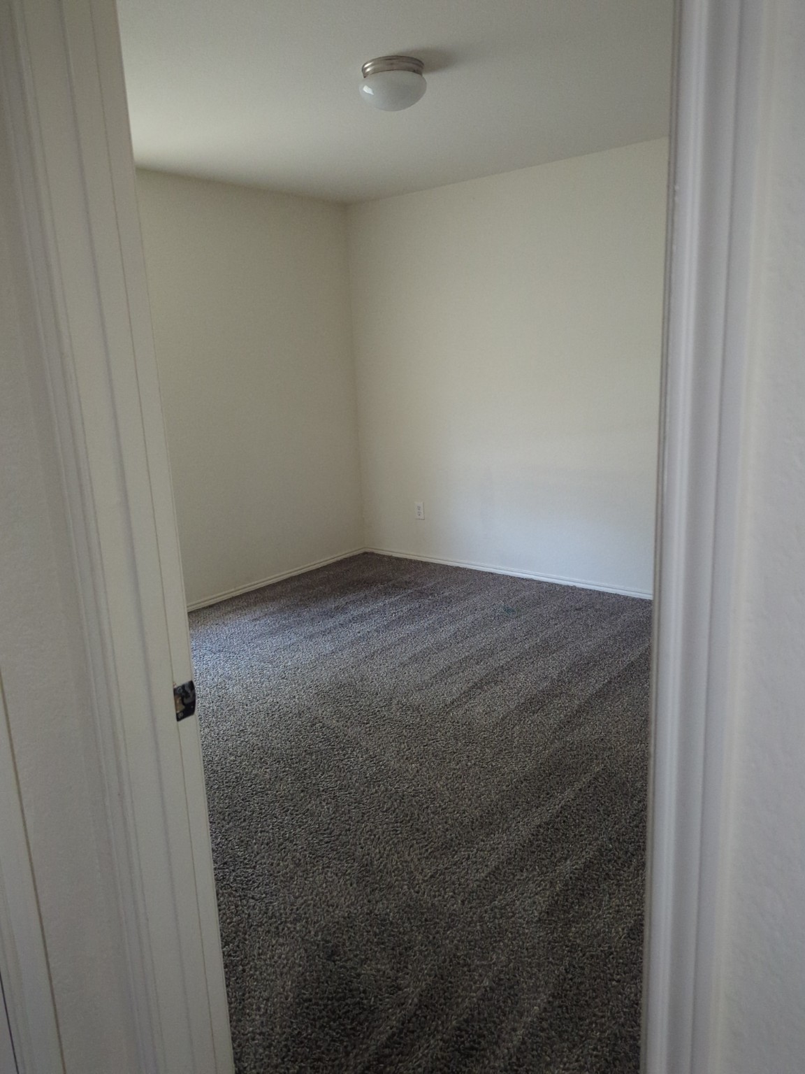 Carpet Cleaning service in Dallas Fort Worth