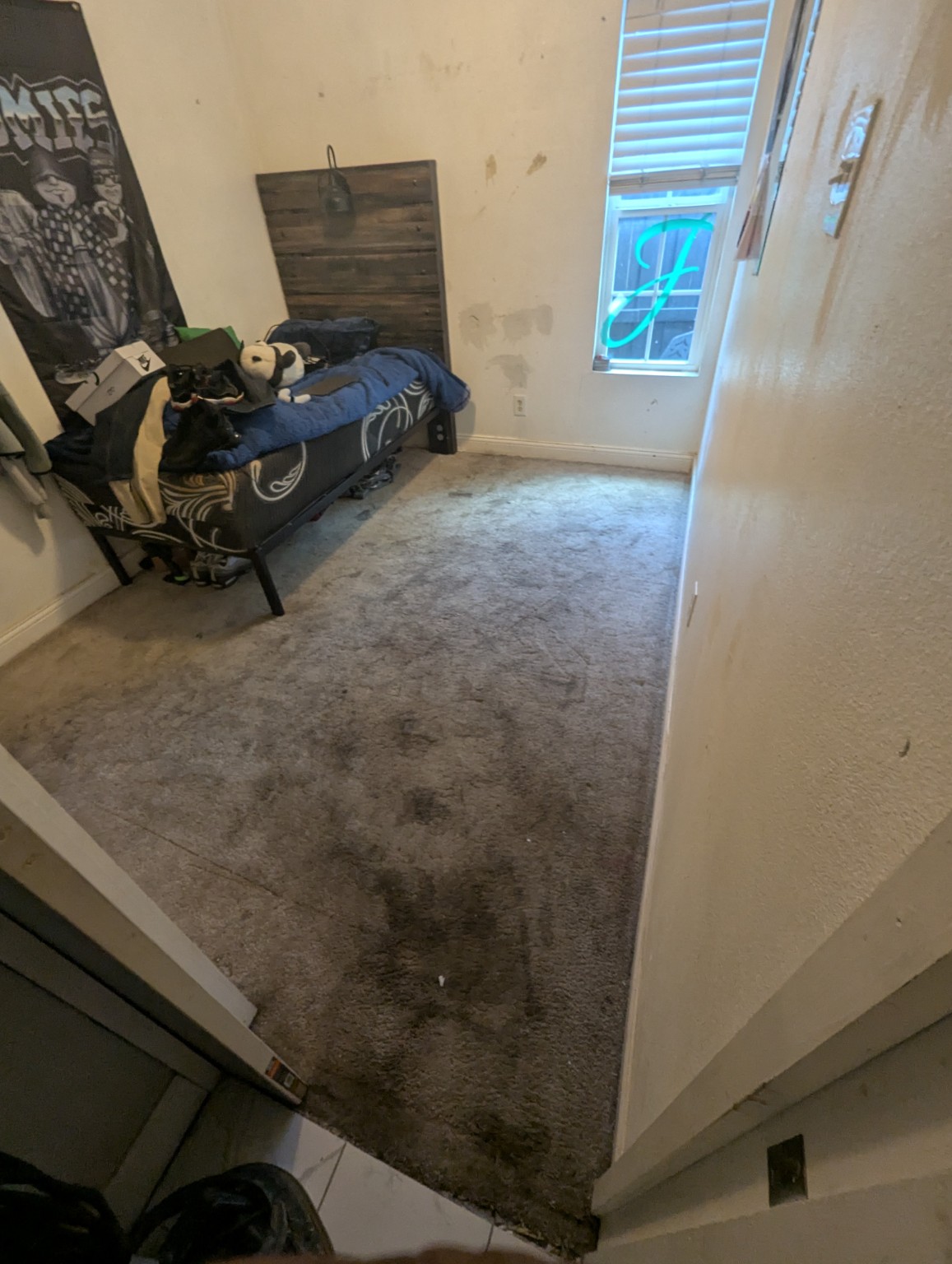 Carpet after cleaning