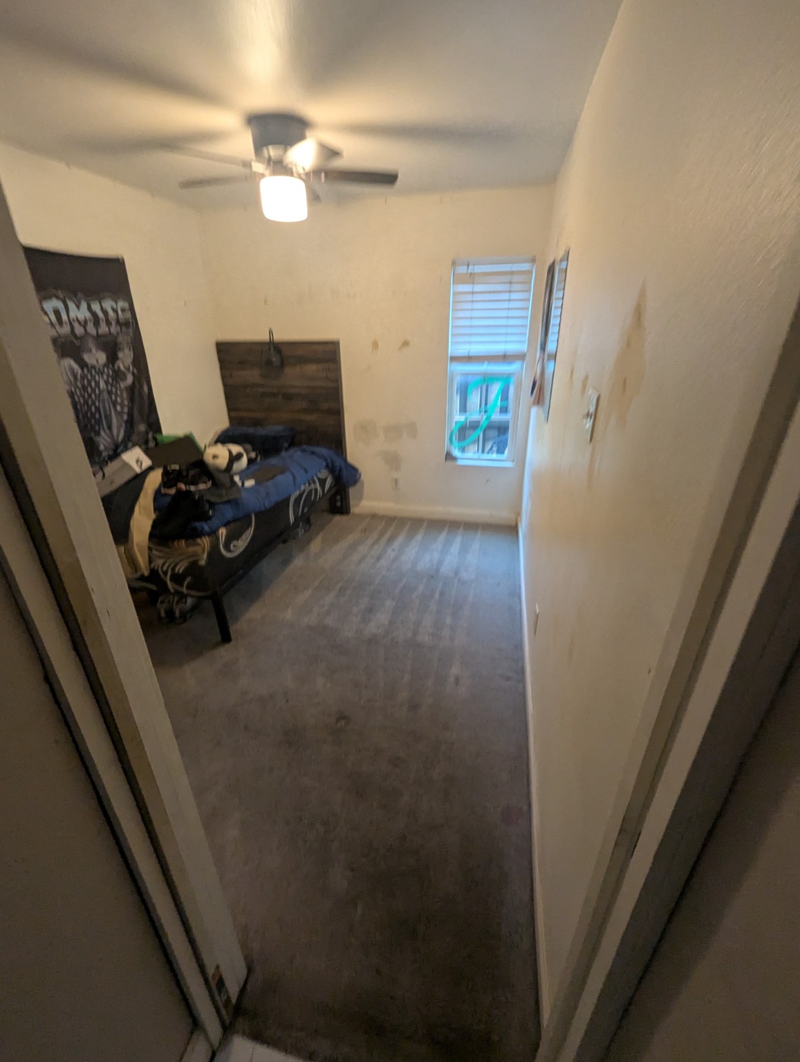 Carpet before cleaning